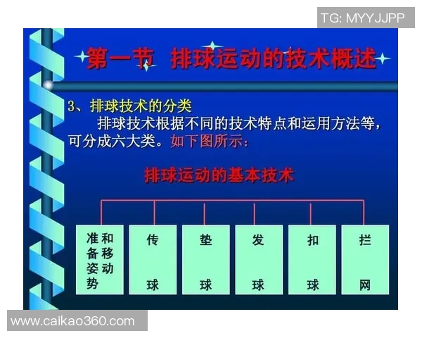深圳排球队战术对比深度解析与未来发展趋势探讨